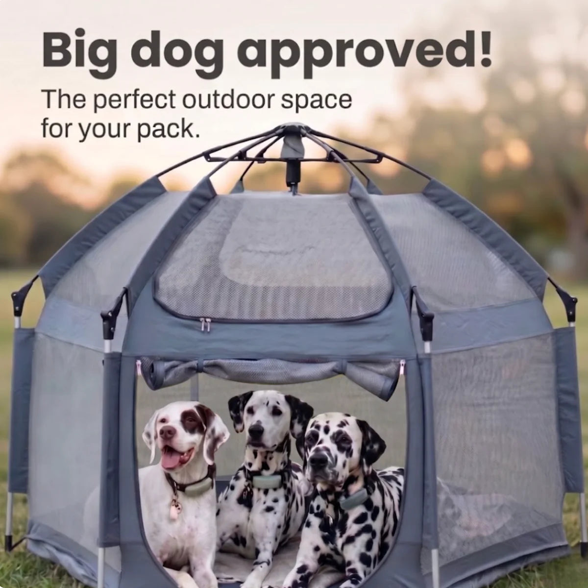 Indoor Outdoor Portable Pet House - Folding Pop-Up Dog Play Tent